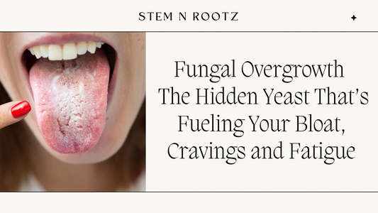 Fungal Overgrowth – The Hidden Yeast That’s Fueling Your Bloat, Cravings & Fatigue