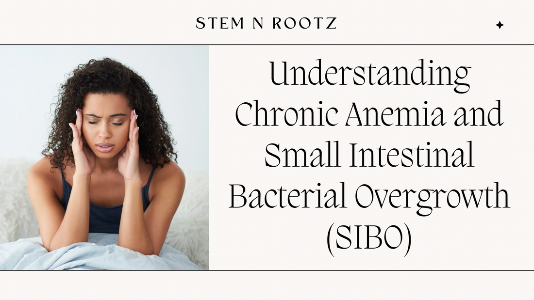 Understanding Chronic Anemia and Small Intestinal Bacterial Overgrowth (SIBO): How to Heal and Restore Gut Health