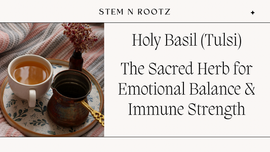 Holy Basil (Tulsi): The Sacred Herb for Emotional Balance & Immune Strength