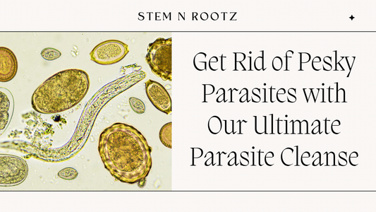 Get Rid of Pesky Parasites with Our Ultimate Parasite Cleanse