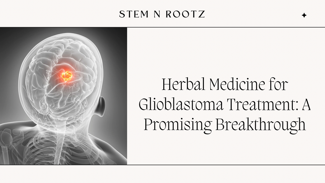 Unlocking the Potential of Herbal Medicine for Glioblastoma Treatment: A Promising Breakthrough