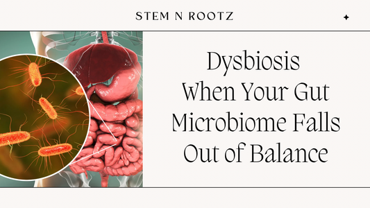 Dysbiosis – When Your Gut Microbiome Falls Out of Balance