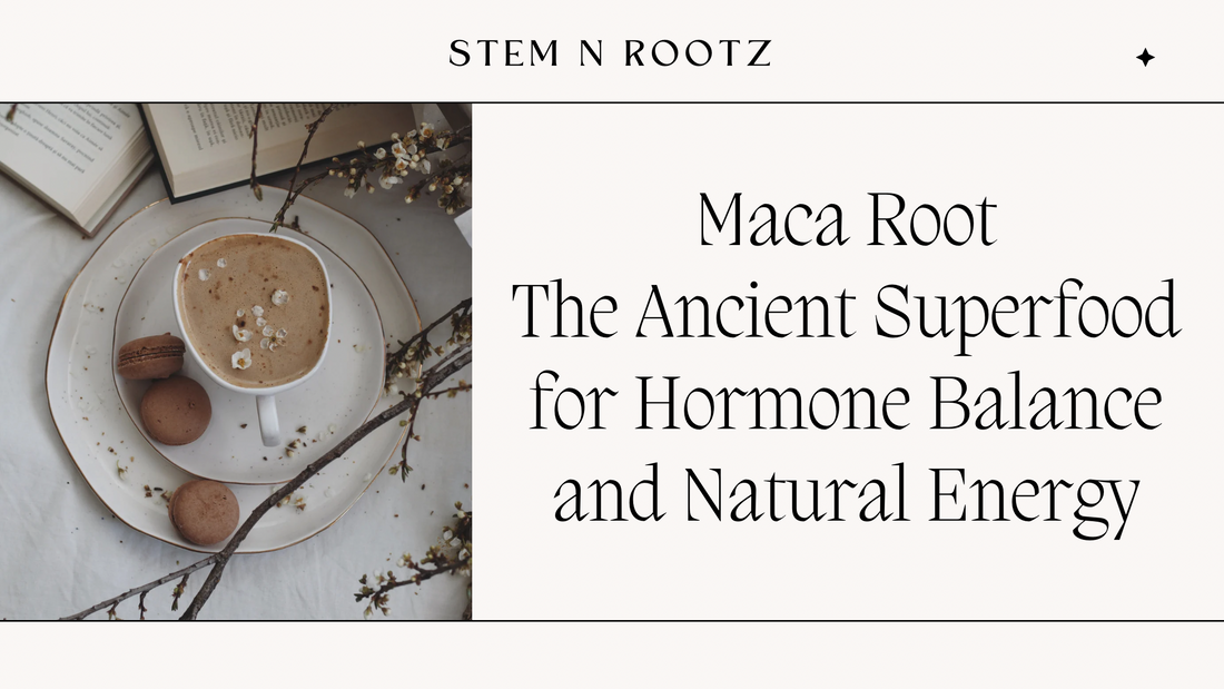 Maca Root: The Ancient Superfood for Hormone Balance and Natural Energy