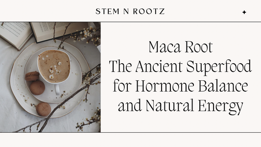Maca Root: The Ancient Superfood for Hormone Balance and Natural Energy