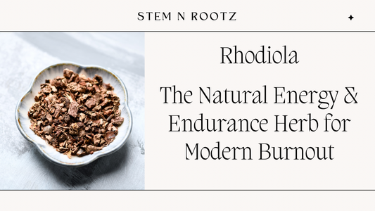 Rhodiola: The Natural Energy & Endurance Herb for Modern Burnout