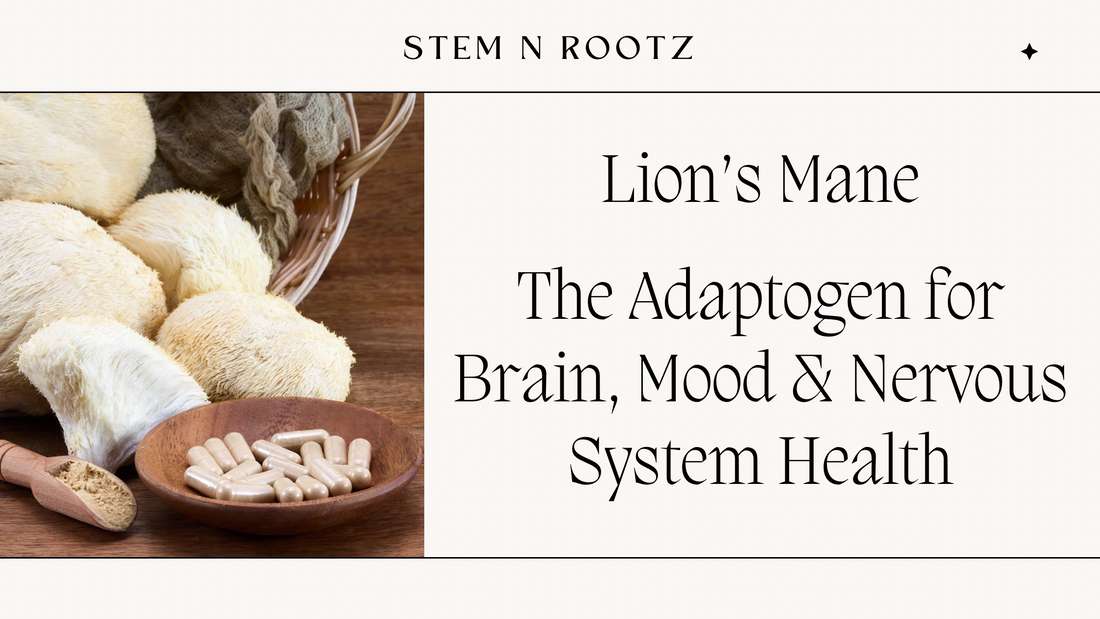 Lion’s Mane: The Adaptogen for Brain, Mood & Nervous System Health