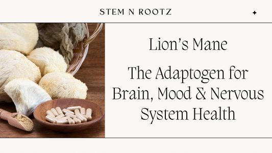 Lion’s Mane: The Adaptogen for Brain, Mood & Nervous System Health