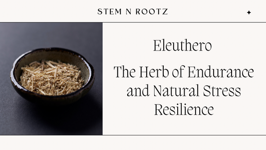 Eleuthero: The Herb of Endurance and Natural Stress Resilience