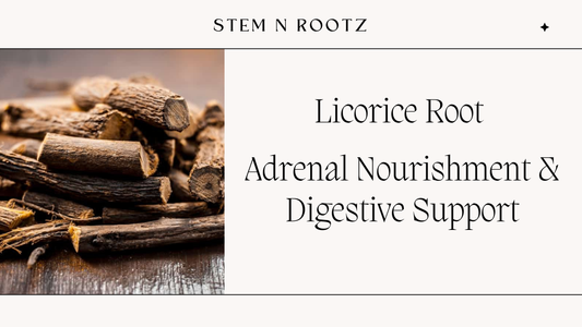 Licorice Root: Adrenal Nourishment & Digestive Support