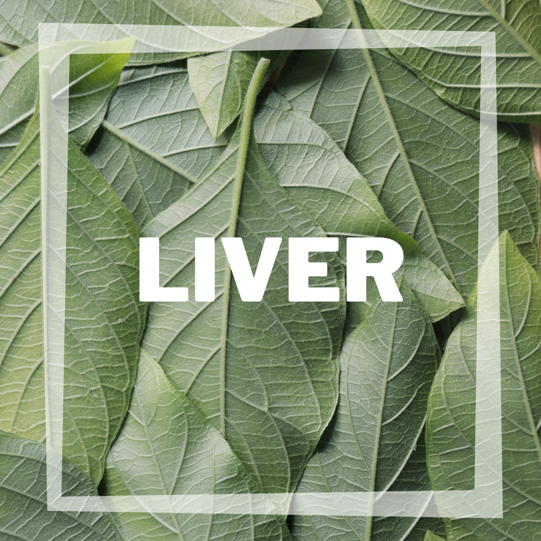 Liver Health