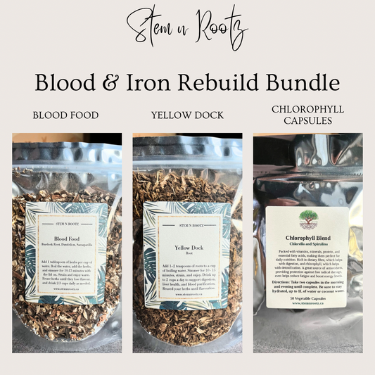 Blood & Iron Rebuild Bundle