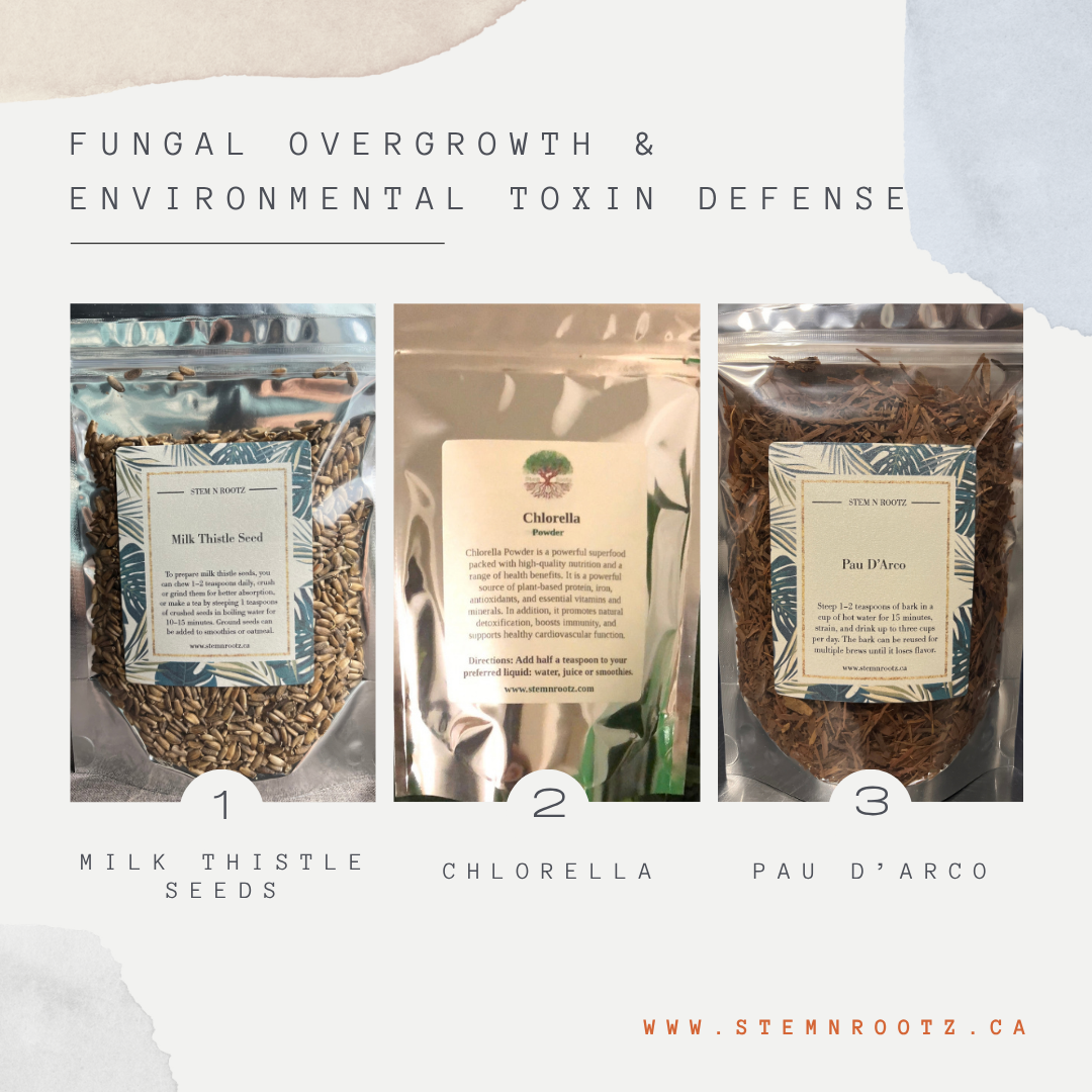 Fungal Overgrowth & Environmental Toxin Defense Bundle