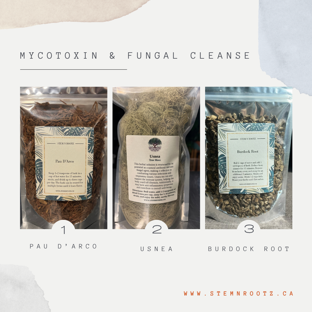 Mycotoxin & Fungal Cleanse Support Kit