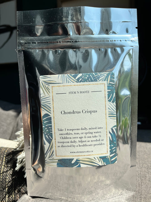 Chondrus Crispus (sea moss) Powder – Mineral-Rich, Immune, and Skin Support 4oz