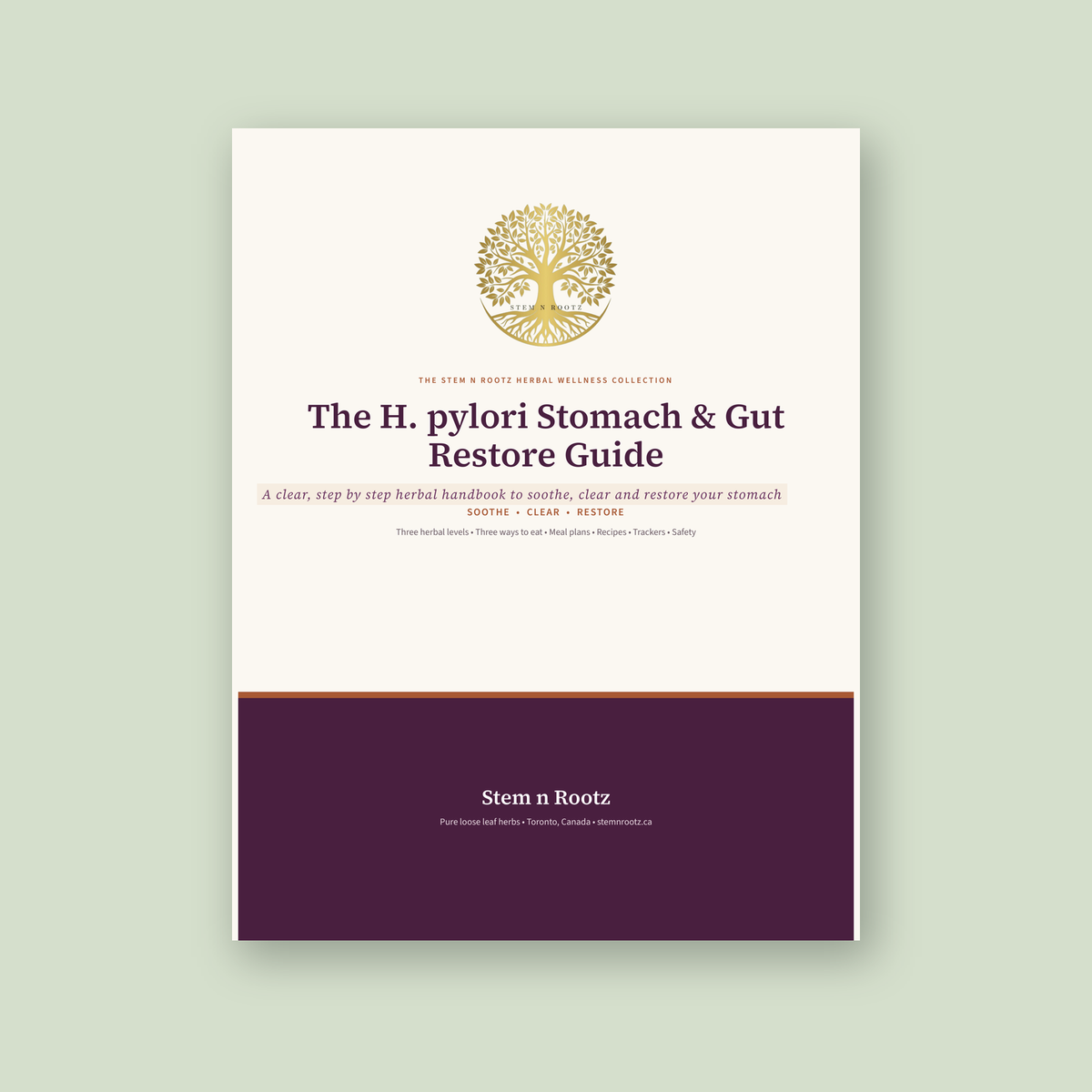 The H. pylori Stomach & Gut Restore Guide | 8 Week Herbal Wellness Protocol