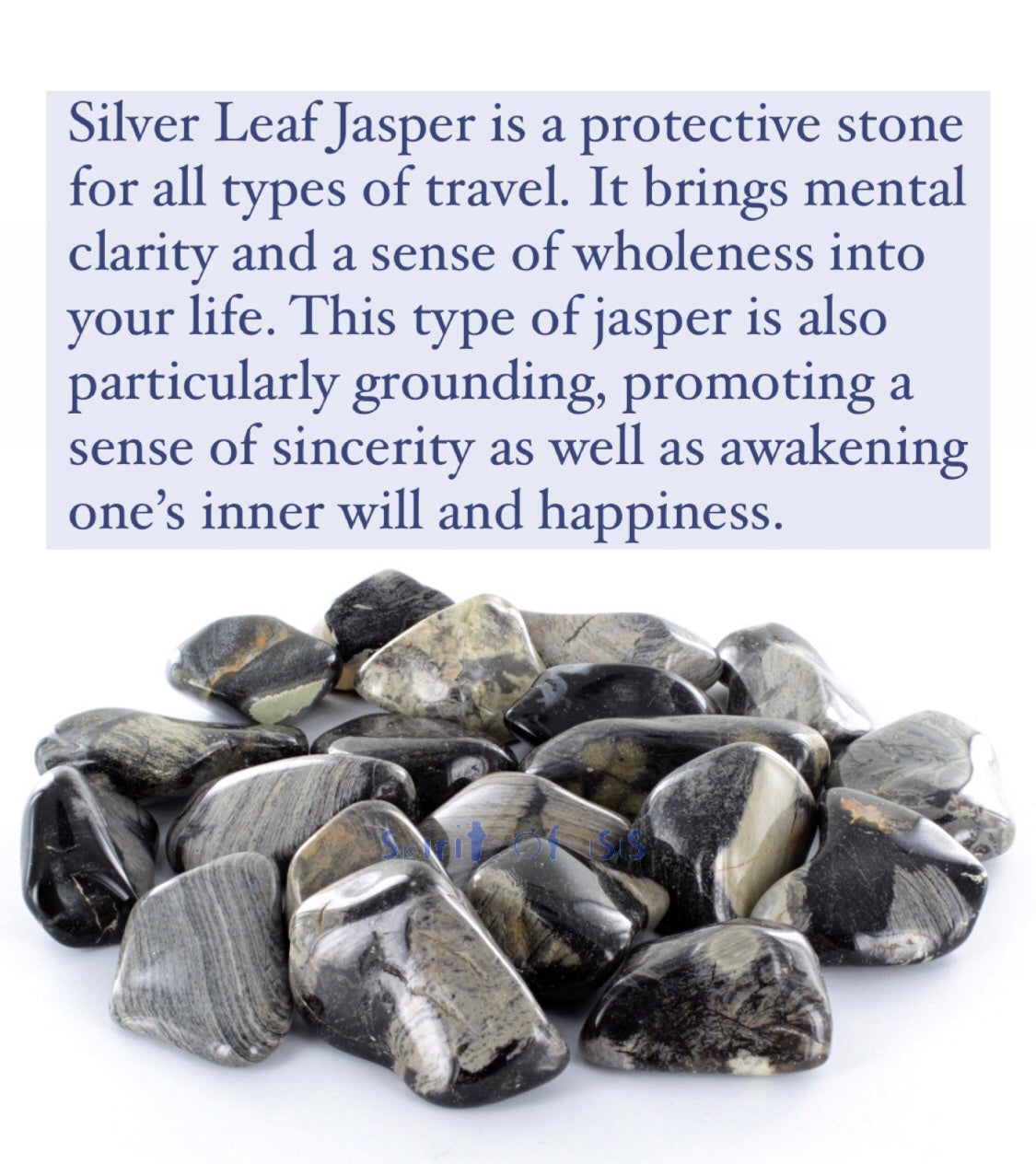 Stem n Rootz – silver leaf jasper