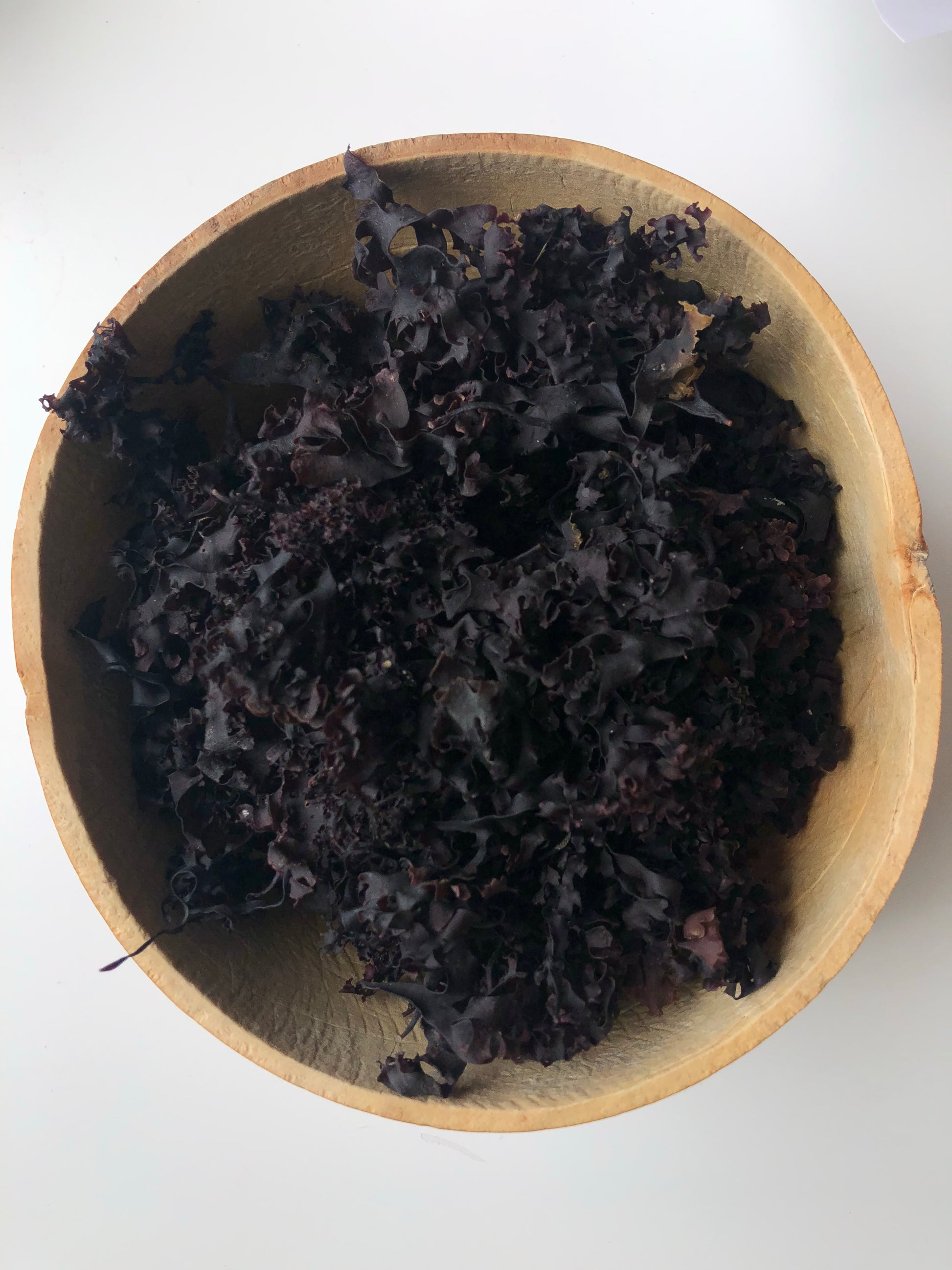 chondrus crispus (irish moss) 2oz