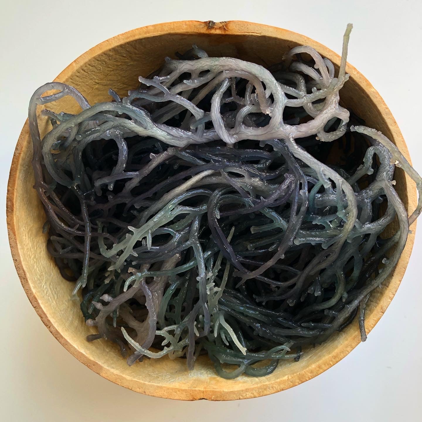 wildcrafted green sea moss 3oz