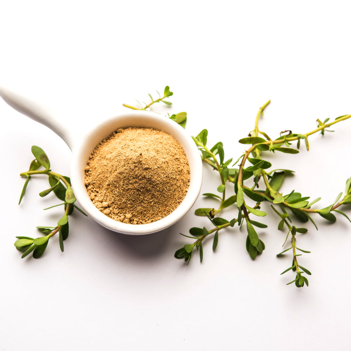 brahmi leaves powder 5oz