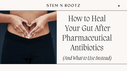 How to Heal Your Gut After Pharmaceutical Antibiotics (And What to Use Instead)