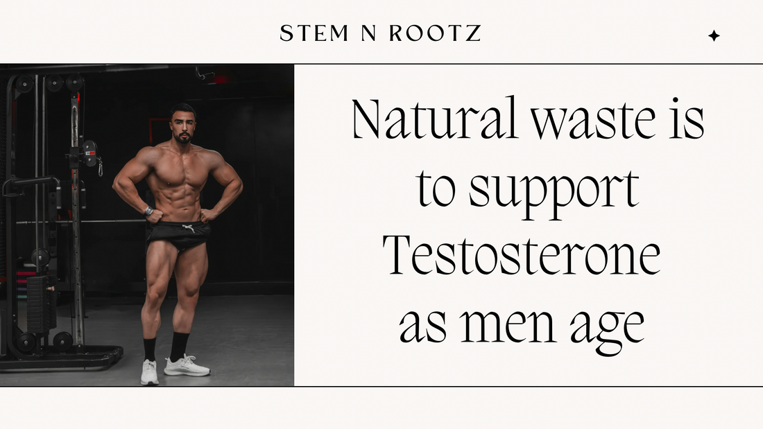 Natural Ways to Support Testosterone as Men Age