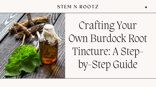 Crafting Your Own Burdock Root Tincture: A Step-by-Step Guide