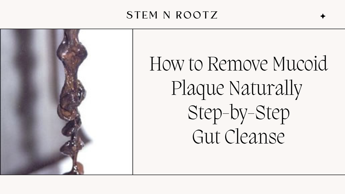 How to Remove Mucoid Plaque Naturally: A Step by Step Gut Restoration Guide