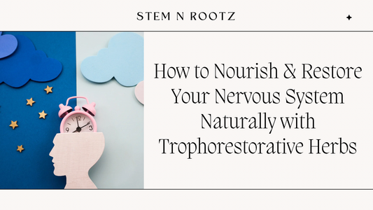 Nervous System Support with Herbal Trophorestorative Herbs | StemnRootz