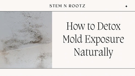 How to Detox Mold Exposure Naturally: A Complete Herbal Protocol for Clearing Mycotoxins and Restoring Your Health