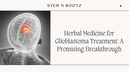 Unlocking the Potential of Herbal Medicine for Glioblastoma Treatment: A Promising Breakthrough