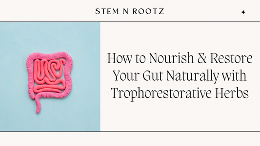 Digestive System Support with Herbal Gut Health Remedies | StemnRootz