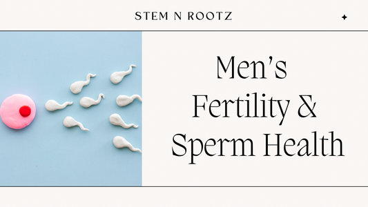 Men’s Fertility and Sperm Health
