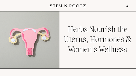 Female Reproductive Support Herbs: Traditional Herbal Remedies For Women’s Wellness