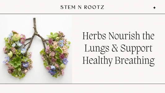 Respiratory Support Herbs: Traditional Herbal Remedies For Lung Wellness
