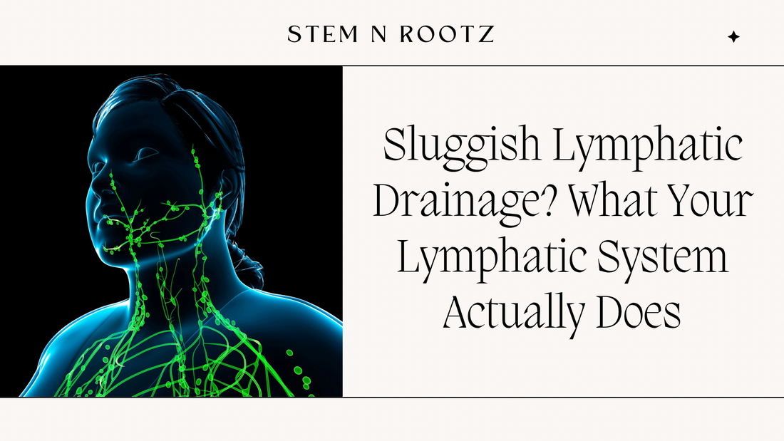 Sluggish Lymphatic Drainage? What Your Lymphatic System Actually Does