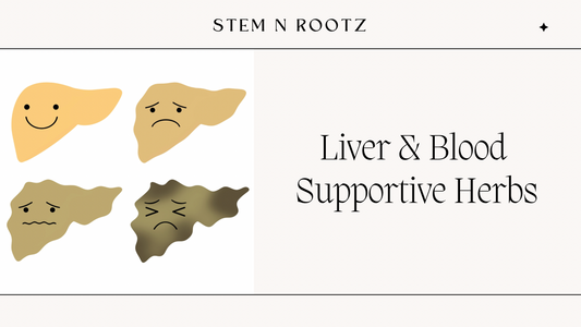 Liver & Blood Support Herbs: Traditional Herbal Remedies For Nourishment & Wellness