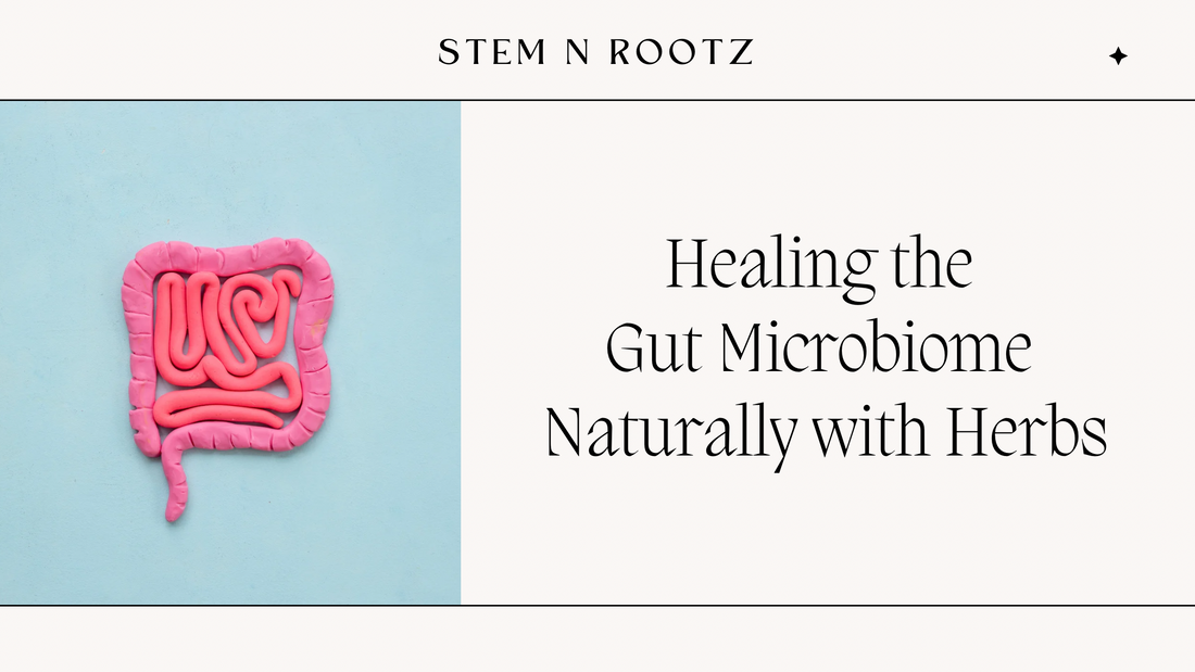 Healing the Gut Microbiome Naturally with Herbs
