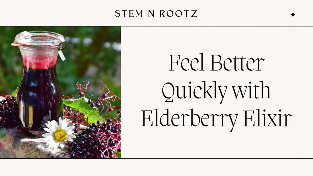 Feel Better Quickly with Elderberry Elixir