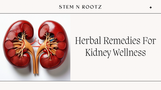 Kidney & Urinary Support Herbs: Traditional Herbal Remedies For Kidney Wellness