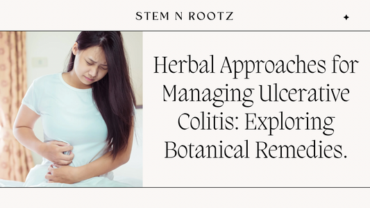 Herbal Approaches for Managing Ulcerative Colitis: Exploring Botanical Remedies.