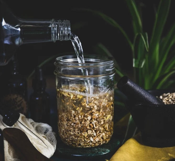 Crafting Your Own Burdock Root Tincture: A Step-by-Step Guide