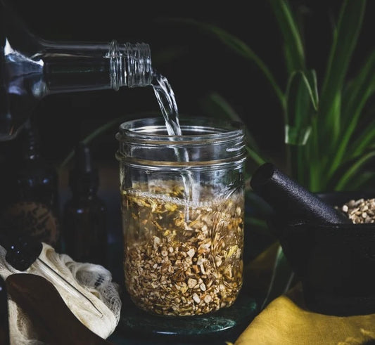 Crafting Your Own Burdock Root Tincture: A Step-by-Step Guide