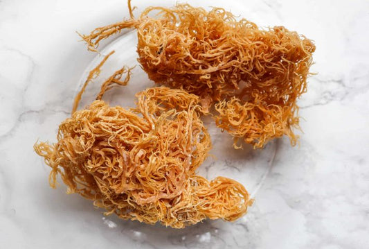 Discover the Surprising Benefits of Sea Moss - Stem n Rootz