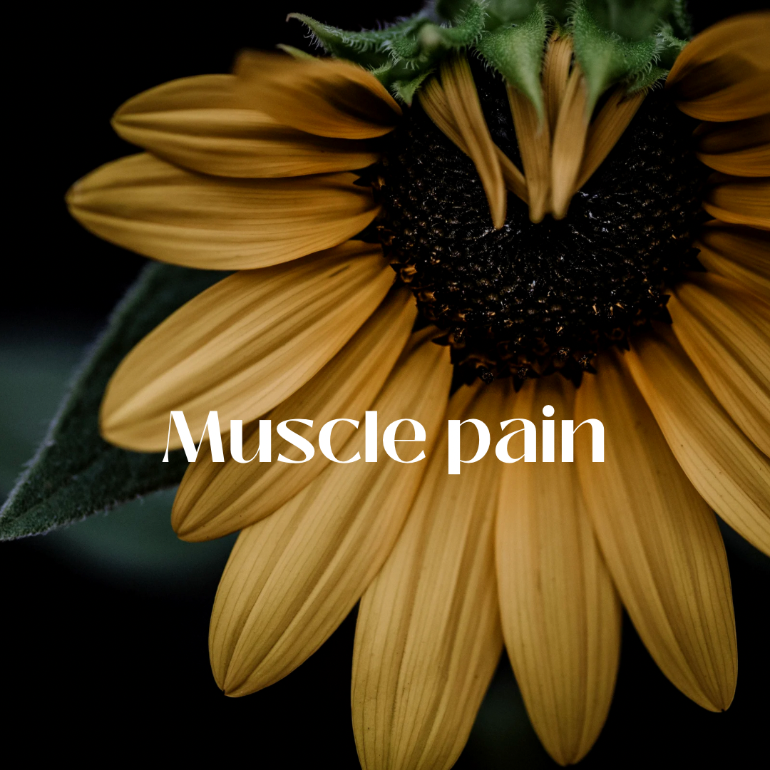 Muscle Pain