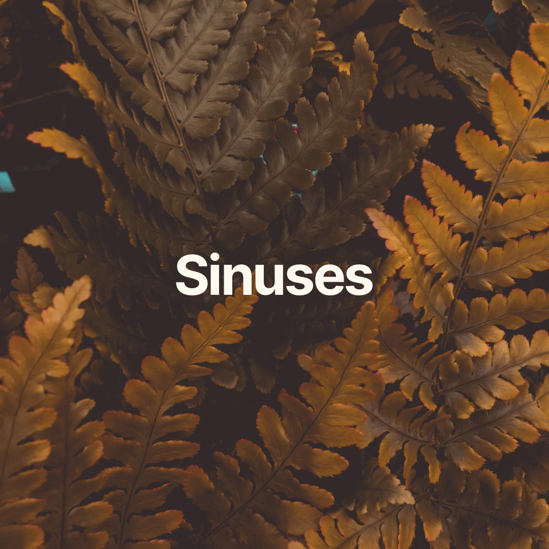 Sinus Support