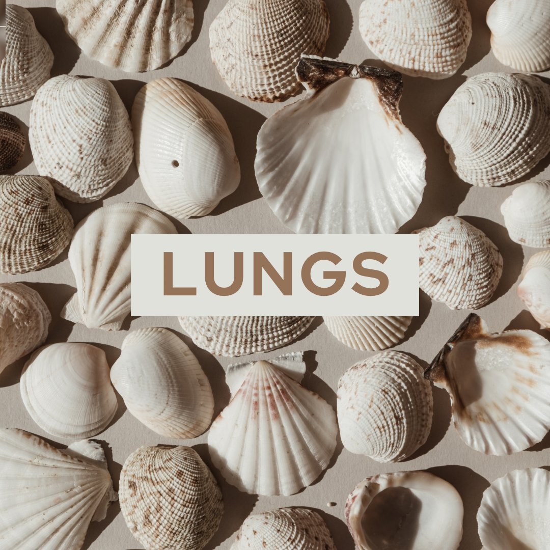 Lung Support