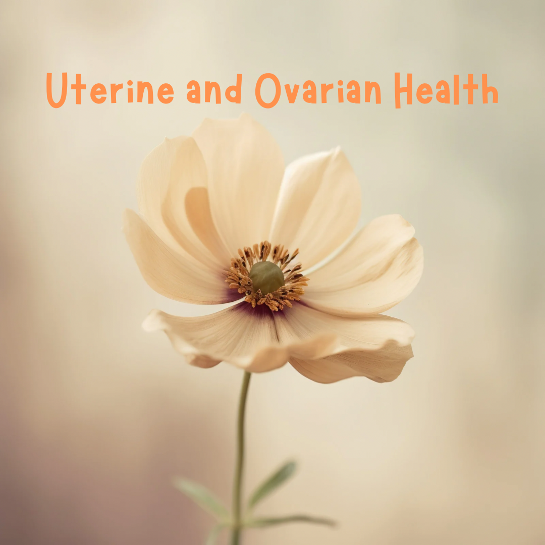 Uterine and Ovarian Health