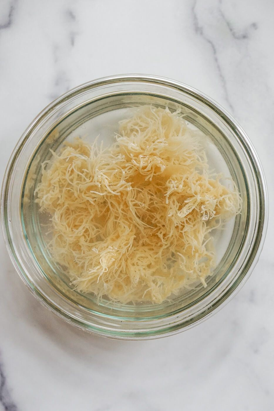Sea Moss Collection