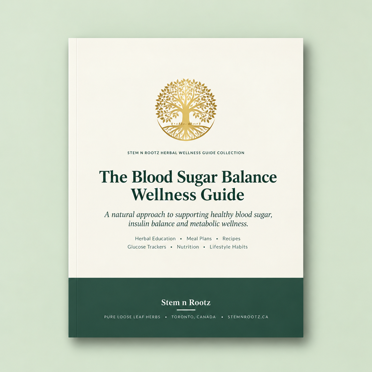 Stem n Rootz The Blood Sugar Balance Wellness Guide – product photo