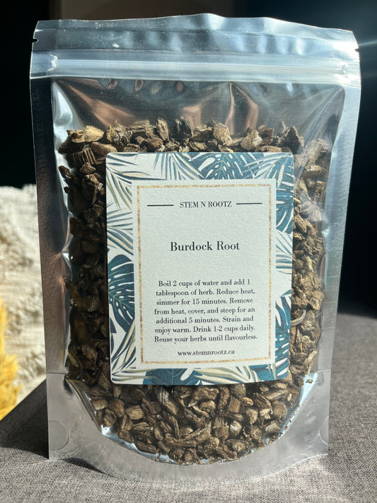 Burdock root loose leaf herbal tea in resealable 4oz pouch